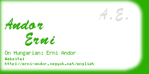 andor erni business card